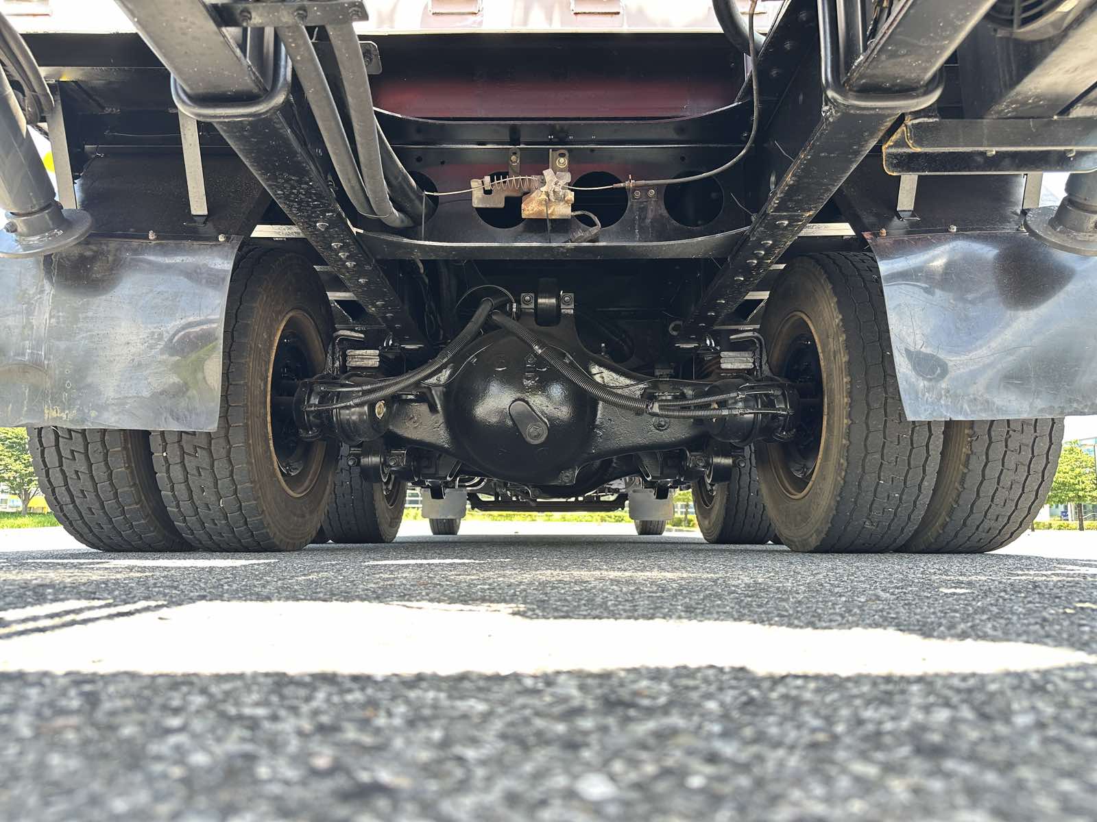 81