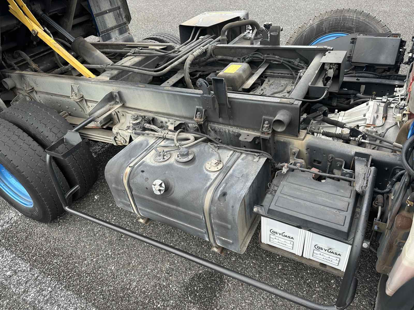 31